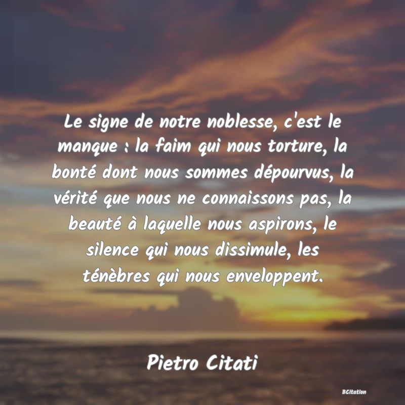 image de citation: Le signe de notre noblesse, c'est le manque : la faim qui nous torture, la bonté dont nous sommes dépourvus, la vérité que nous ne connaissons pas, la beauté à laquelle nous aspirons, le silence qui nous dissimule, les ténèbres qui nous enveloppent.