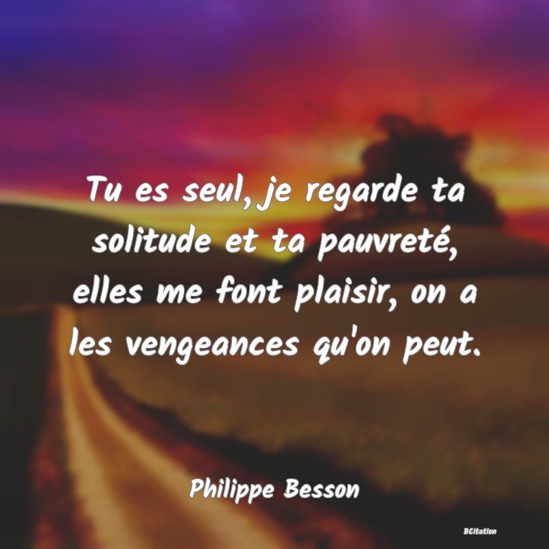 image de citation: Tu es seul, je regarde ta solitude et ta pauvreté, elles me font plaisir, on a les vengeances qu'on peut.