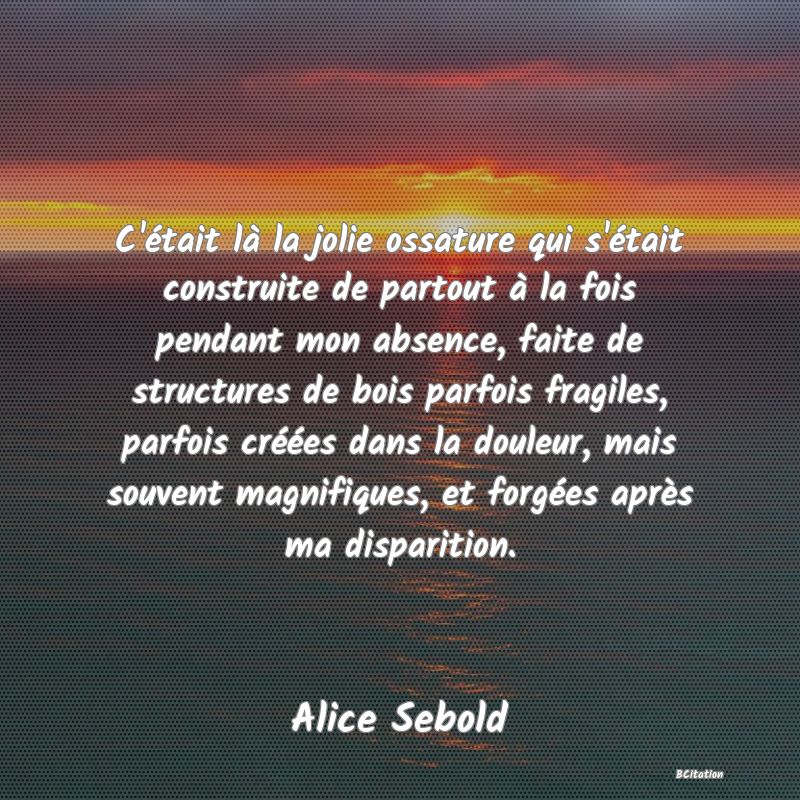 image de citation: C'était là la jolie ossature qui s'était construite de partout à la fois pendant mon absence, faite de structures de bois parfois fragiles, parfois créées dans la douleur, mais souvent magnifiques, et forgées après ma disparition.