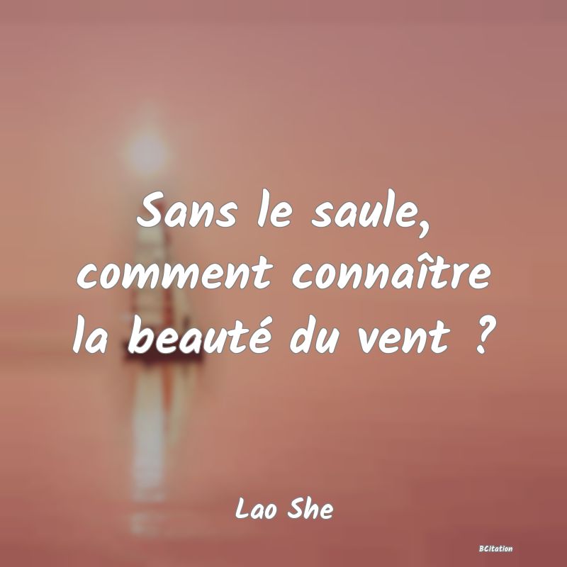 Belle Citation - Sans le saule, comment connaître la beauté du vent ? - Lao She