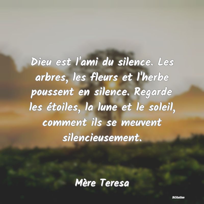 Belle Citation - Dieu est l'ami du silence. Les arbres, les fleurs et l'herbe poussent en silence. Regarde les étoiles, la lune et le soleil, comment ils se meuvent silencieusement. - Mère Teresa