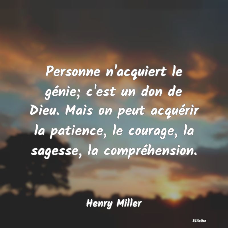 Belle Citation - Personne n'acquiert le génie; c'est un don de Dieu. Mais on peut acquérir la patience, le courage, la sagesse, la compréhension. - Henry Miller