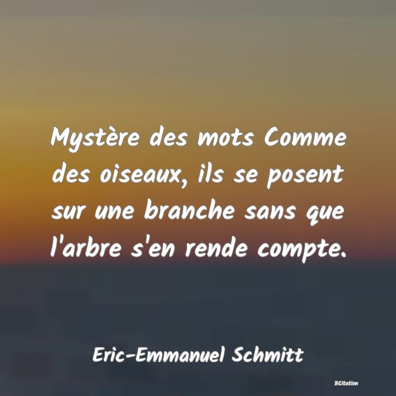 image de citation: Mystère des mots Comme des oiseaux, ils se posent sur une branche sans que l'arbre s'en rende compte.