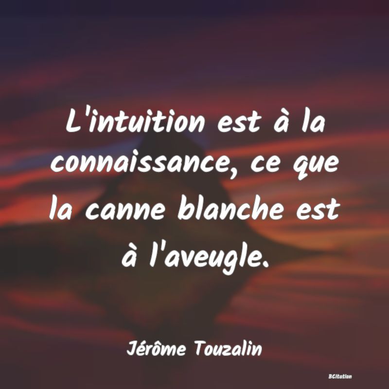 image de citation: L'intuition est à la connaissance, ce que la canne blanche est à l'aveugle.