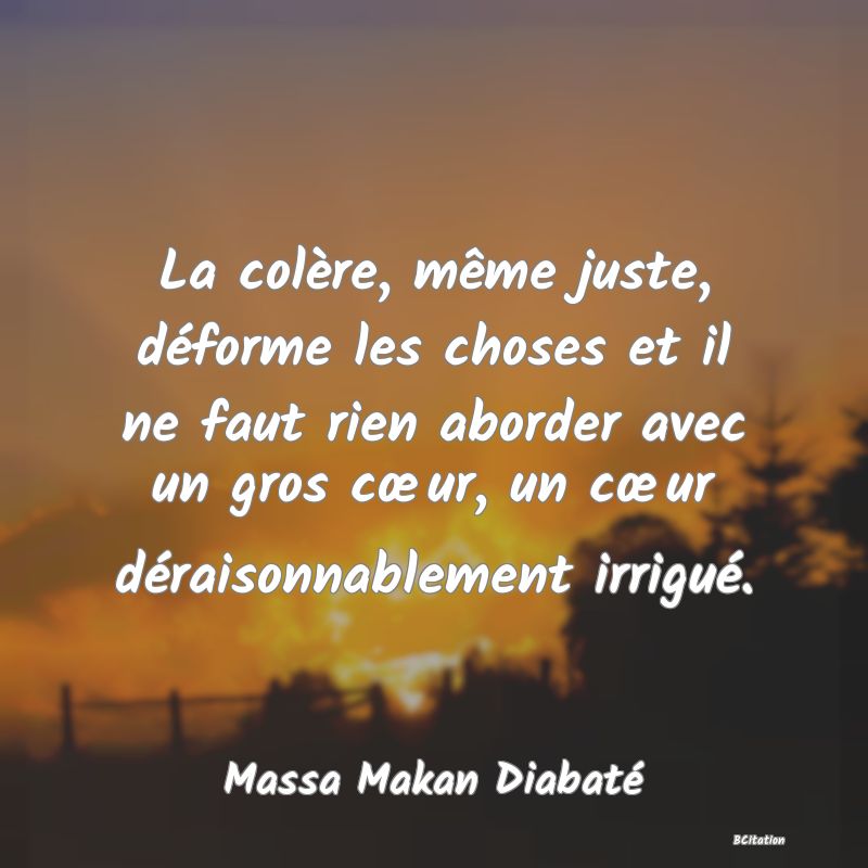 image de citation: La colère, même juste, déforme les choses et il ne faut rien aborder avec un gros cœur, un cœur déraisonnablement irrigué.