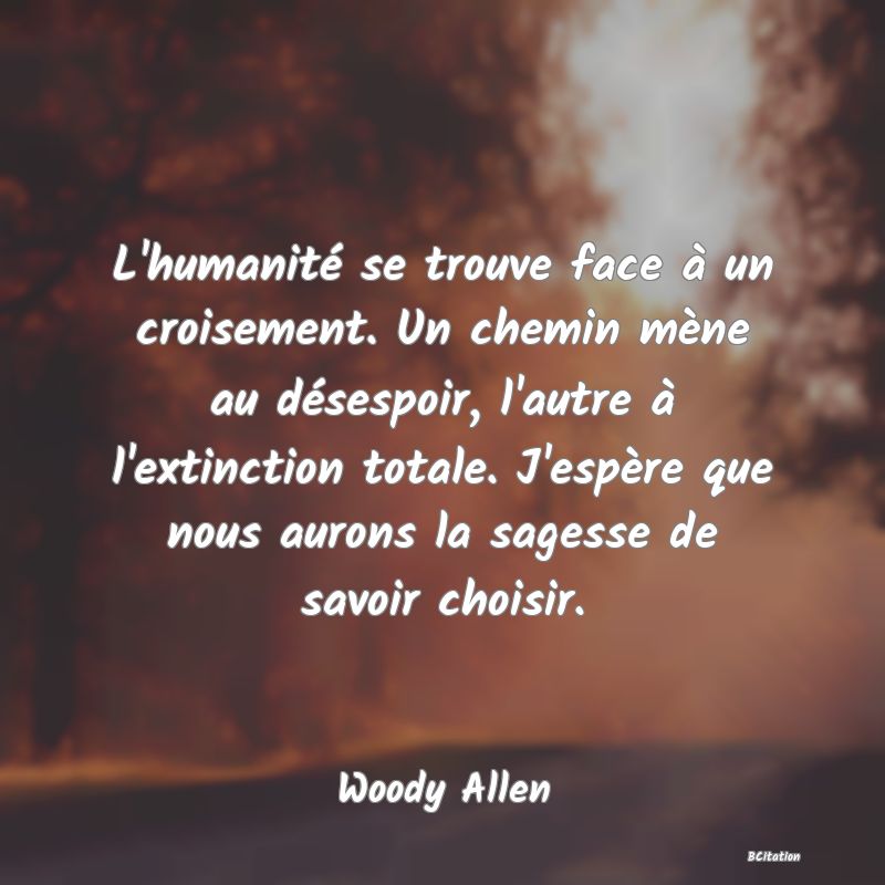 image de citation: L'humanité se trouve face à un croisement. Un chemin mène au désespoir, l'autre à l'extinction totale. J'espère que nous aurons la sagesse de savoir choisir.