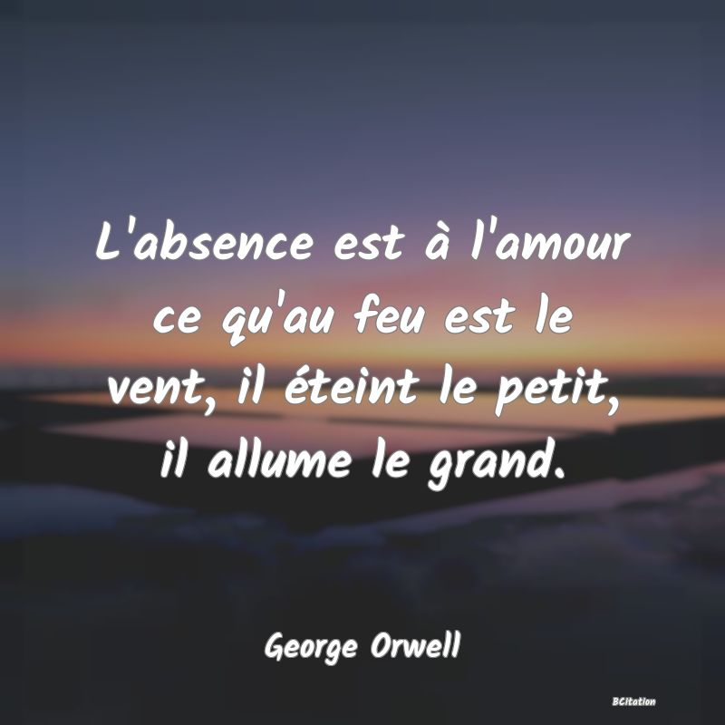 Belle Citation - L'absence est à l'amour ce qu'au feu est le vent, il éteint le petit, il allume le grand. - George Orwell