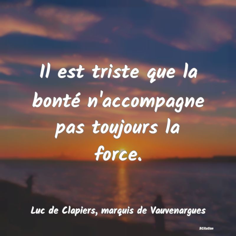 image de citation: Il est triste que la bonté n'accompagne pas toujours la force.