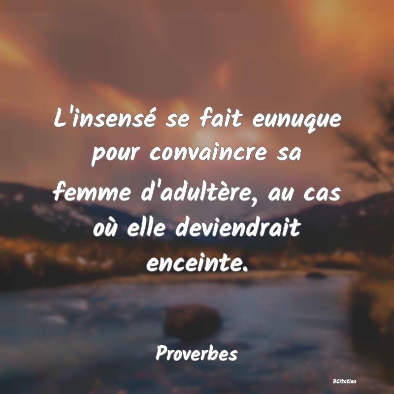 Belle Citation - L'insensé se fait eunuque pour convaincre sa femme d'adultère, au cas où elle deviendrait enceinte. - Proverbes