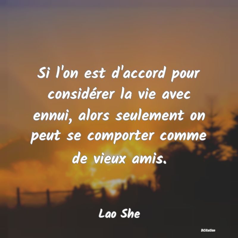 image de citation: Si l'on est d'accord pour considérer la vie avec ennui, alors seulement on peut se comporter comme de vieux amis.