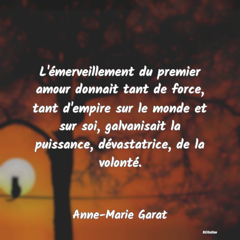 image de citation: L'émerveillement du premier amour donnait tant de force, tant d'empire sur le monde et sur soi, galvanisait la puissance, dévastatrice, de la volonté.