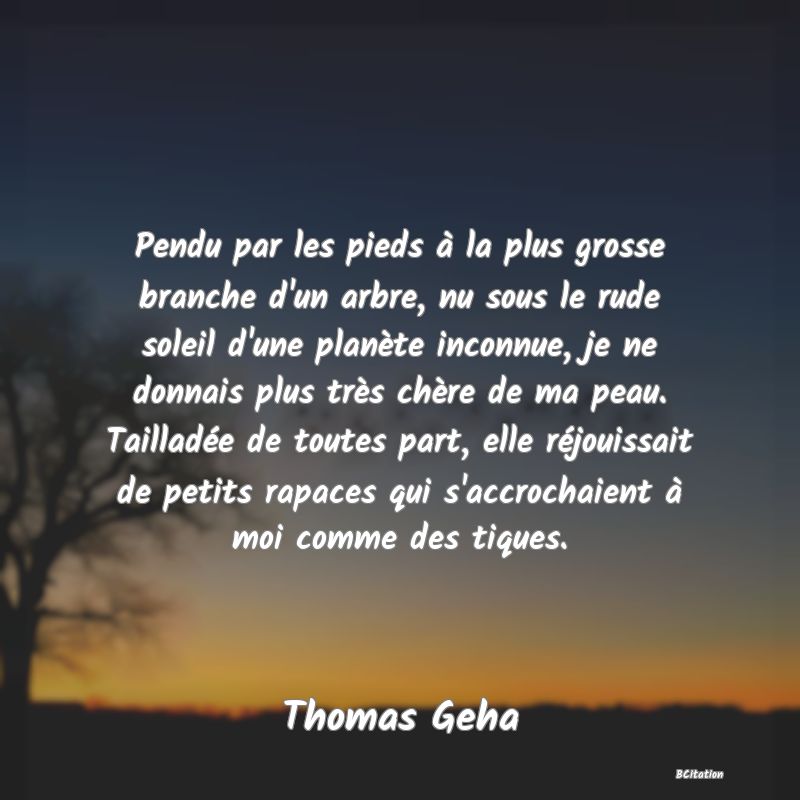 image de citation: Pendu par les pieds à la plus grosse branche d'un arbre, nu sous le rude soleil d'une planète inconnue, je ne donnais plus très chère de ma peau. Tailladée de toutes part, elle réjouissait de petits rapaces qui s'accrochaient à moi comme des tiques.