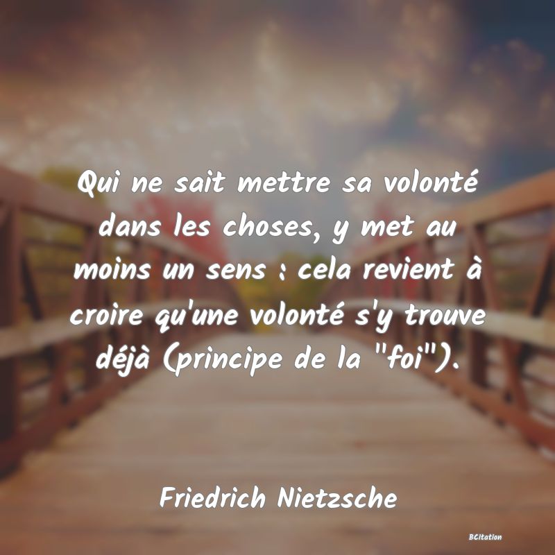 image de citation: Qui ne sait mettre sa volonté dans les choses, y met au moins un sens : cela revient à croire qu'une volonté s'y trouve déjà (principe de la  foi ).