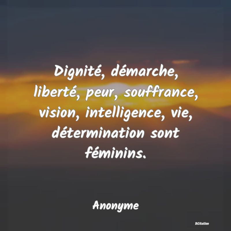 Belle Citation - Dignité, démarche, liberté, peur, souffrance, vision, intelligence, vie, détermination sont féminins. - Anonyme