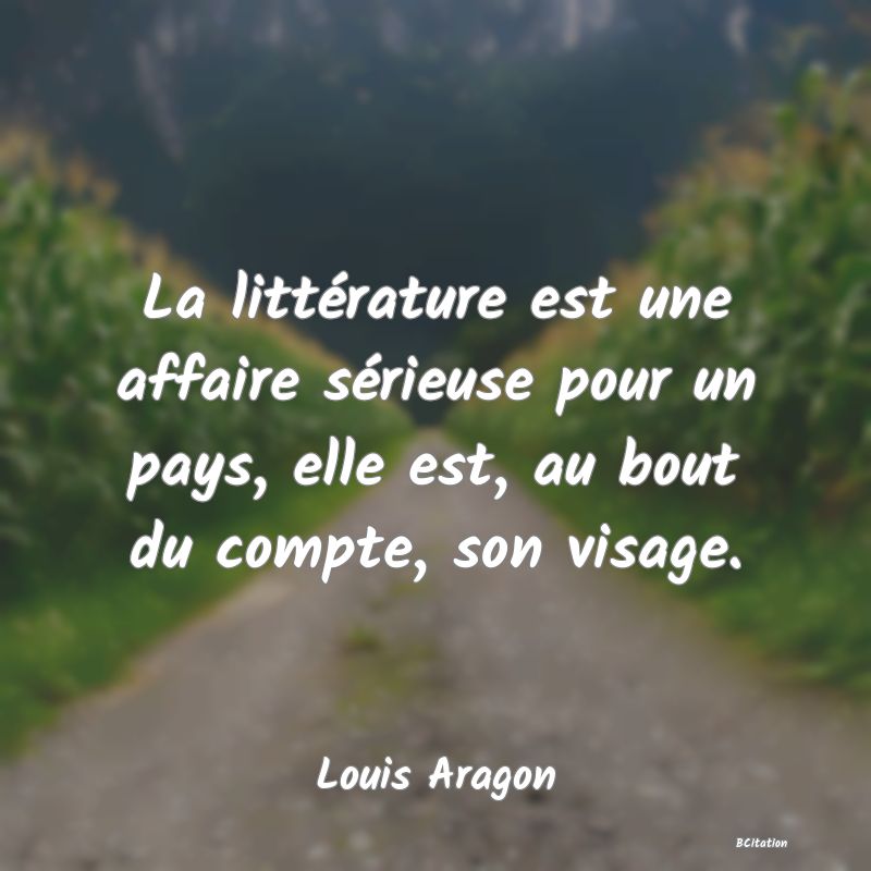 image de citation: La littérature est une affaire sérieuse pour un pays, elle est, au bout du compte, son visage.