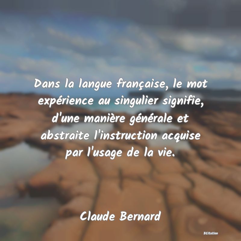 image de citation: Dans la langue française, le mot expérience au singulier signifie, d'une manière générale et abstraite l'instruction acquise par l'usage de la vie.