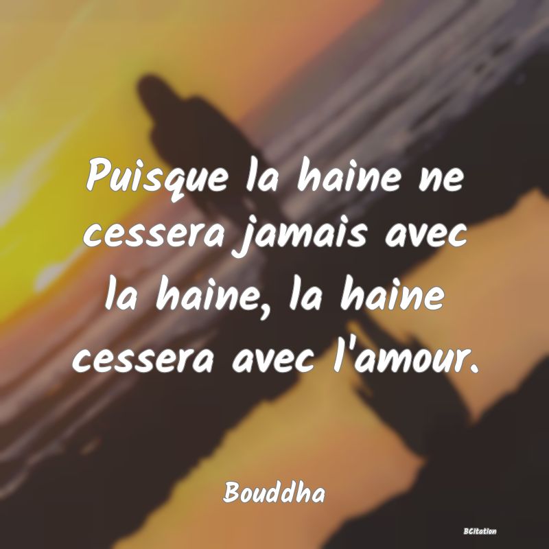 image de citation: Puisque la haine ne cessera jamais avec la haine, la haine cessera avec l'amour.