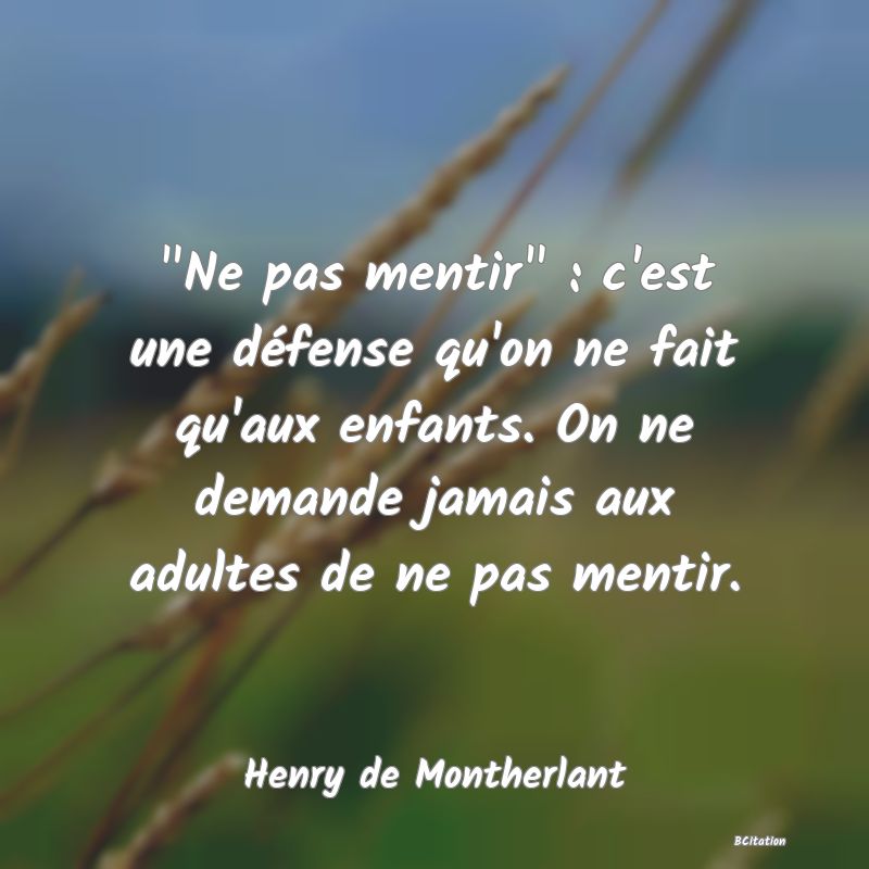 Belle Citation - 