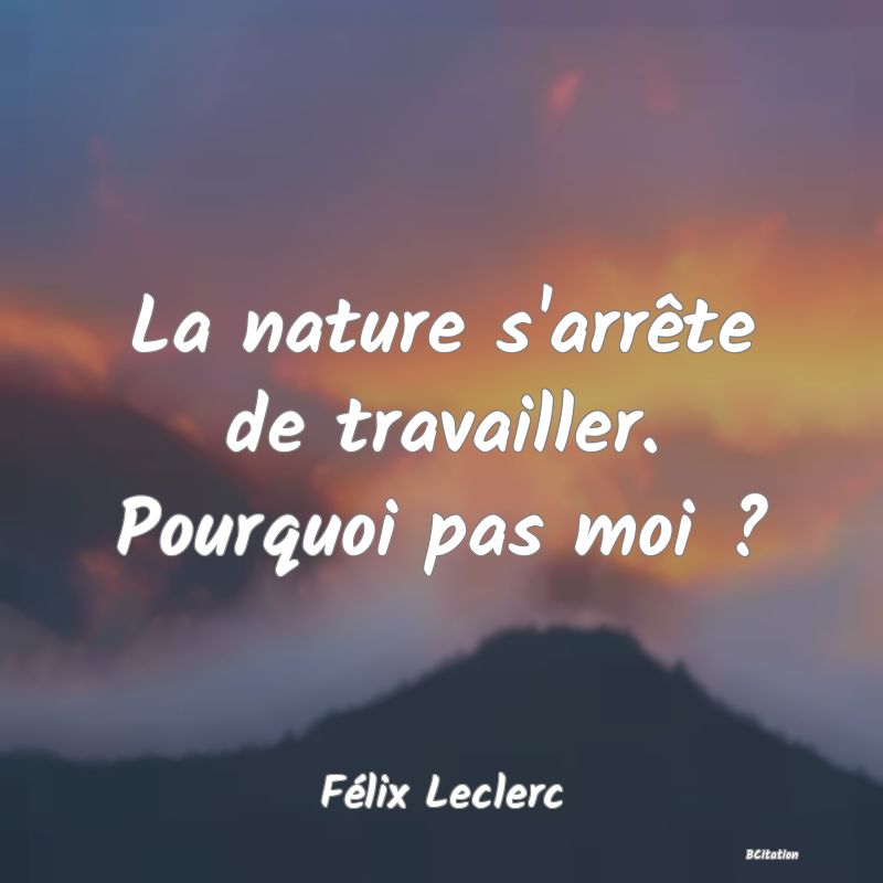 image de citation: La nature s'arrête de travailler. Pourquoi pas moi ?