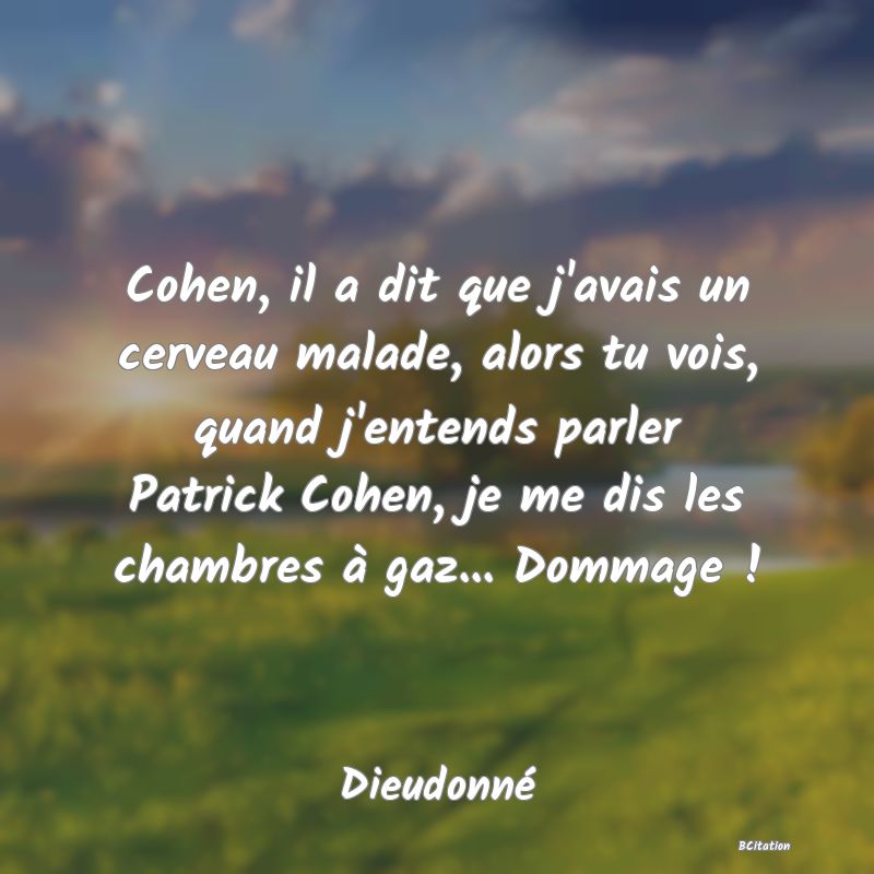 image de citation: Cohen, il a dit que j'avais un cerveau malade, alors tu vois, quand j'entends parler Patrick Cohen, je me dis les chambres à gaz... Dommage !