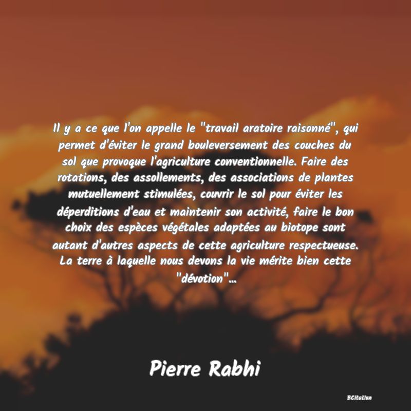 Belle Citation - Il y a ce que l'on appelle le 