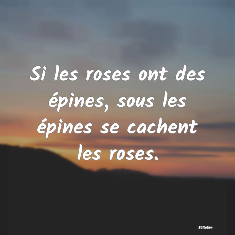 image de citation: Si les roses ont des épines, sous les épines se cachent les roses.