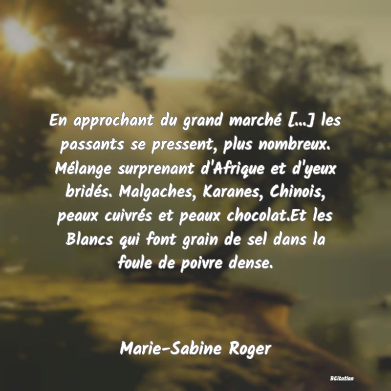 Belle Citation - En approchant du grand marché [...] les passants se pressent, plus nombreux. Mélange surprenant d'Afrique et d'yeux bridés. Malgaches, Karanes, Chinois, peaux cuivrés et peaux chocolat.Et les Blancs qui font grain de sel dans la foule de poivre dense. - Marie-Sabine Roger