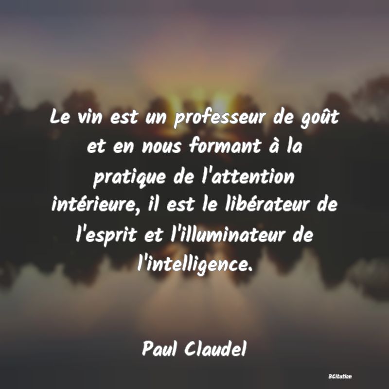 image de citation: Le vin est un professeur de goût et en nous formant à la pratique de l'attention intérieure, il est le libérateur de l'esprit et l'illuminateur de l'intelligence.