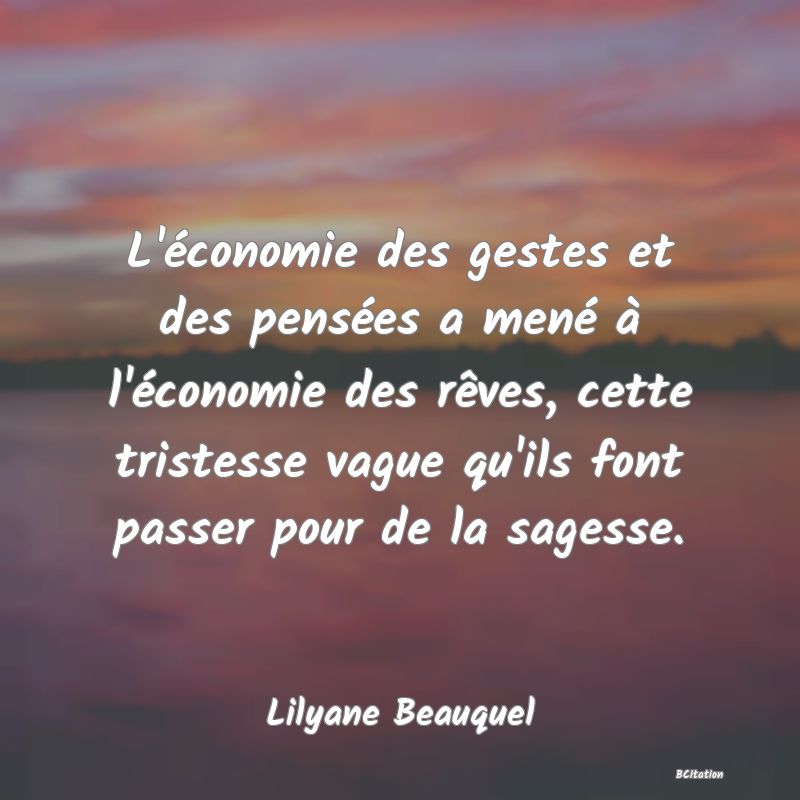 image de citation: L'économie des gestes et des pensées a mené à l'économie des rêves, cette tristesse vague qu'ils font passer pour de la sagesse.