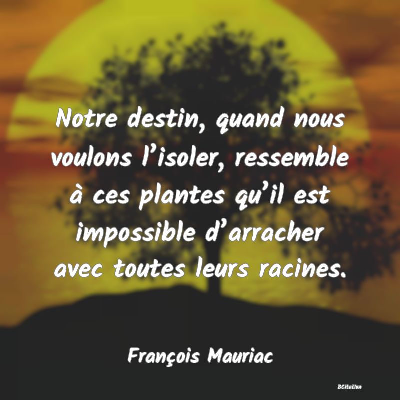 image de citation: Notre destin, quand nous voulons l’isoler, ressemble à ces plantes qu’il est impossible d’arracher avec toutes leurs racines.