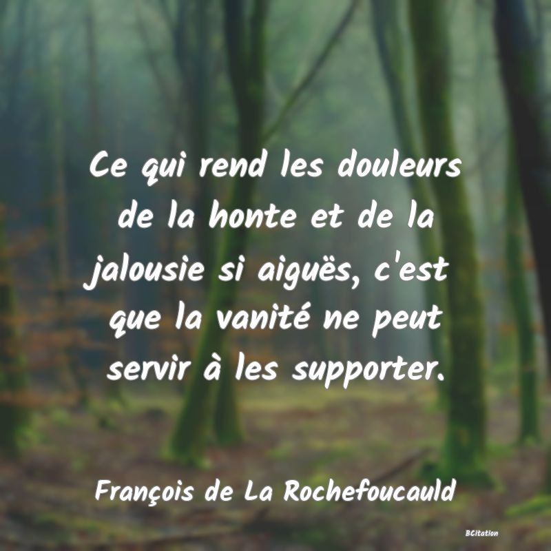 image de citation: Ce qui rend les douleurs de la honte et de la jalousie si aiguës, c'est que la vanité ne peut servir à les supporter.