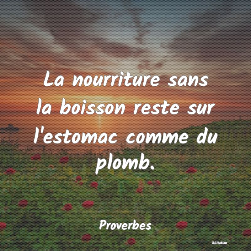 image de citation: La nourriture sans la boisson reste sur l'estomac comme du plomb.