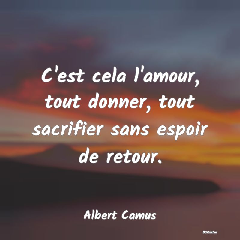 image de citation: C'est cela l'amour, tout donner, tout sacrifier sans espoir de retour.