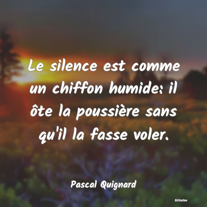 image de citation: Le silence est comme un chiffon humide: il ôte la poussière sans qu'il la fasse voler.