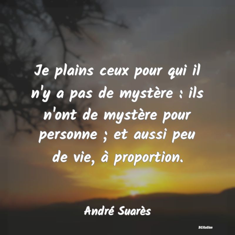 Belle Citation - Je plains ceux pour qui il n'y a pas de mystère : ils n'ont de mystère pour personne ; et aussi peu de vie, à proportion. - André Suarès