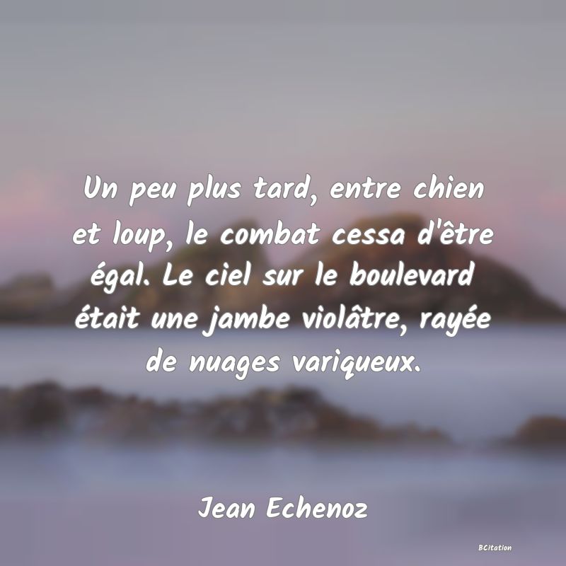 image de citation: Un peu plus tard, entre chien et loup, le combat cessa d'être égal. Le ciel sur le boulevard était une jambe violâtre, rayée de nuages variqueux.