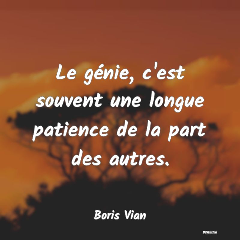 image de citation: Le génie, c'est souvent une longue patience de la part des autres.