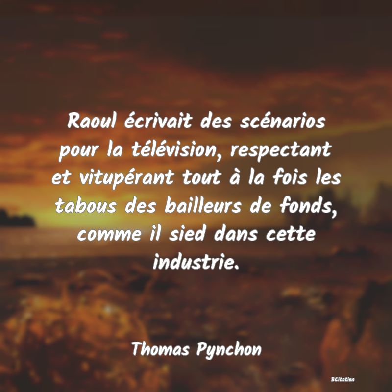 image de citation: Raoul écrivait des scénarios pour la télévision, respectant et vitupérant tout à la fois les tabous des bailleurs de fonds, comme il sied dans cette industrie.