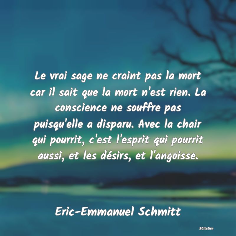 image de citation: Le vrai sage ne craint pas la mort car il sait que la mort n'est rien. La conscience ne souffre pas puisqu'elle a disparu. Avec la chair qui pourrit, c'est l'esprit qui pourrit aussi, et les désirs, et l'angoisse.