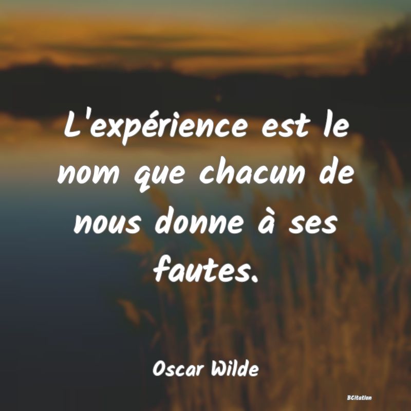 image de citation: L'expérience est le nom que chacun de nous donne à ses fautes.