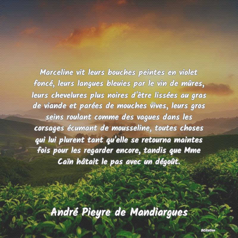 image de citation: Marceline vit leurs bouches peintes en violet foncé, leurs langues bleuies par le vin de mûres, leurs chevelures plus noires d'être lissées au gras de viande et parées de mouches vives, leurs gros seins roulant comme des vagues dans les corsages écumant de mousseline, toutes choses qui lui plurent tant qu'elle se retourna maintes fois pour les regarder encore, tandis que Mme Caïn hâtait le pas avec un dégoût.