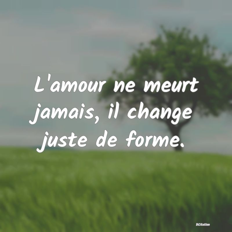 Belle Citation - L'amour ne meurt jamais, il change juste de forme. - 