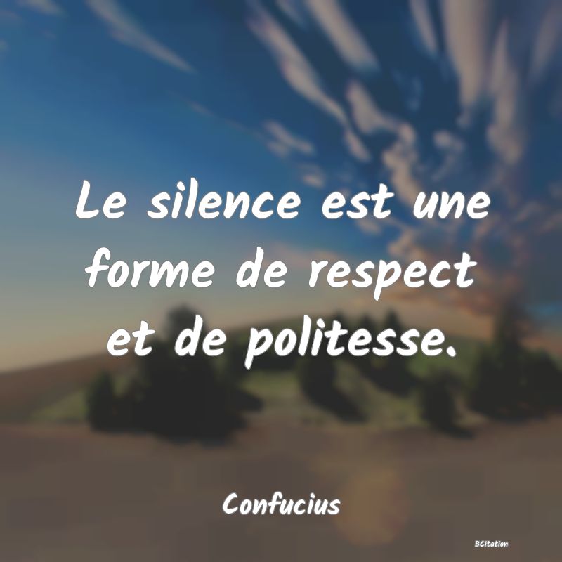 image de citation: Le silence est une forme de respect et de politesse.