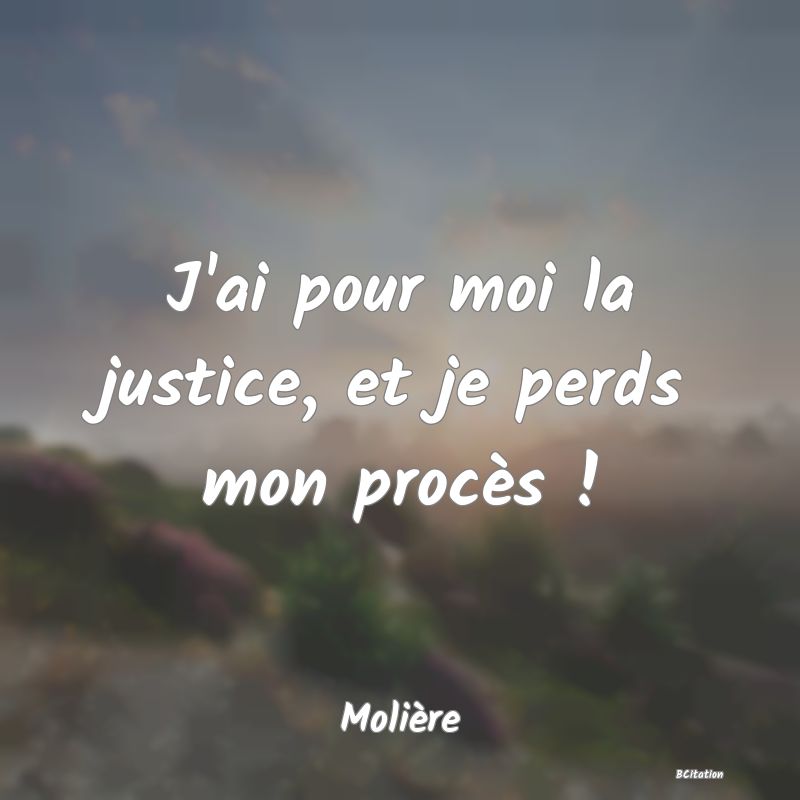 image de citation: J'ai pour moi la justice, et je perds mon procès !