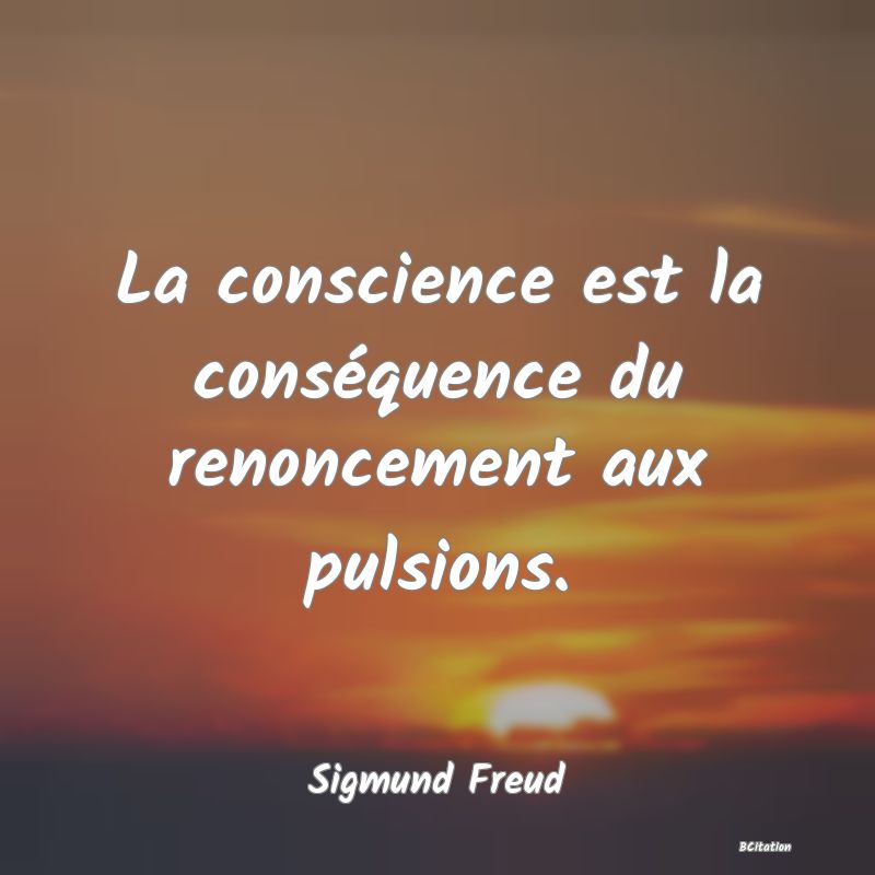 image de citation: La conscience est la conséquence du renoncement aux pulsions.