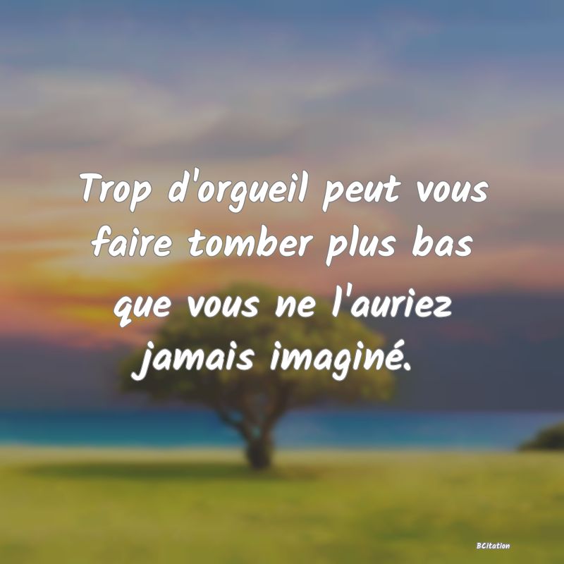 image de citation: Trop d'orgueil peut vous faire tomber plus bas que vous ne l'auriez jamais imaginé.
