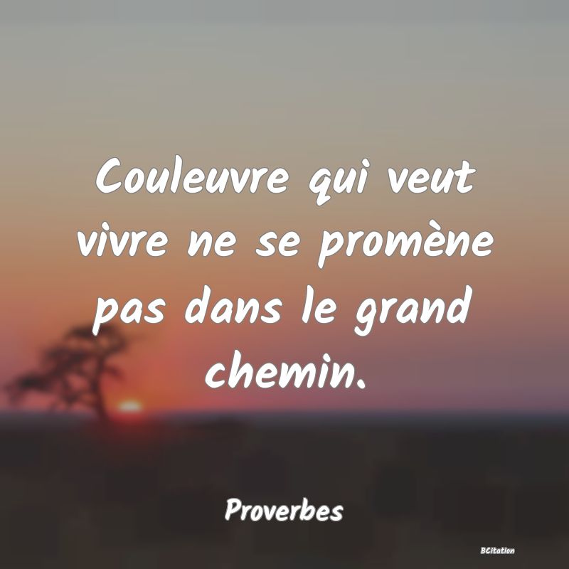 image de citation: Couleuvre qui veut vivre ne se promène pas dans le grand chemin.