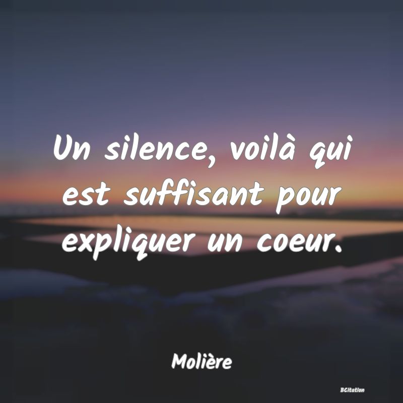 image de citation: Un silence, voilà qui est suffisant pour expliquer un coeur.