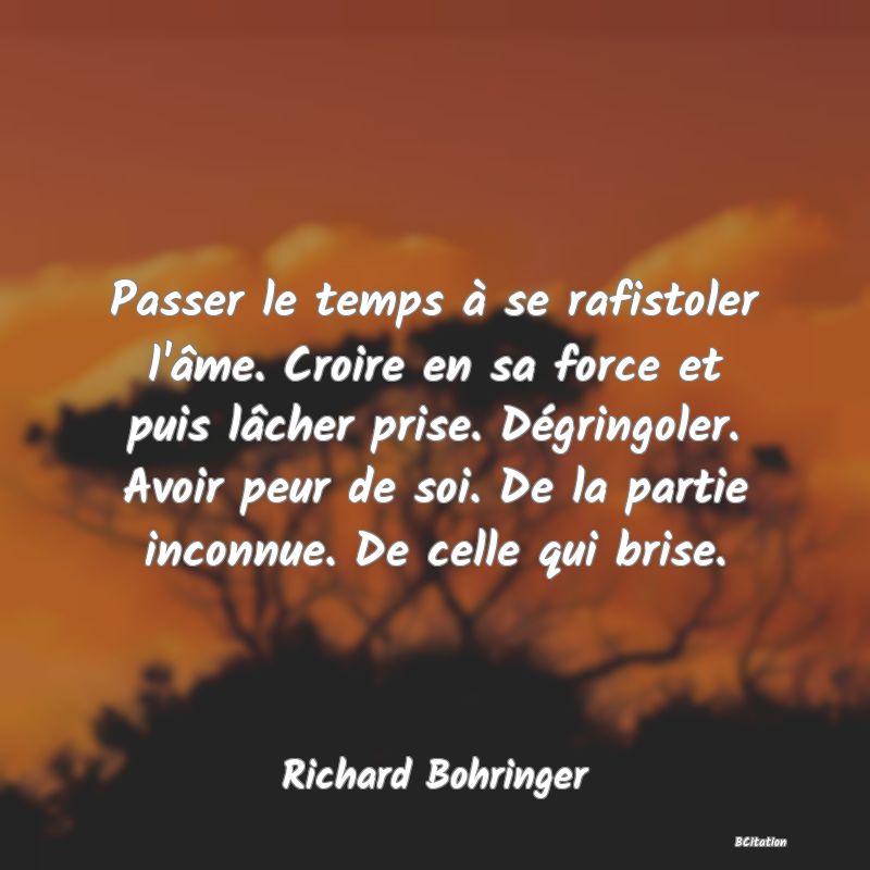 Belle Citation - Passer le temps à se rafistoler l'âme. Croire en sa force et puis lâcher prise. Dégringoler. Avoir peur de soi. De la partie inconnue. De celle qui brise. - Richard Bohringer