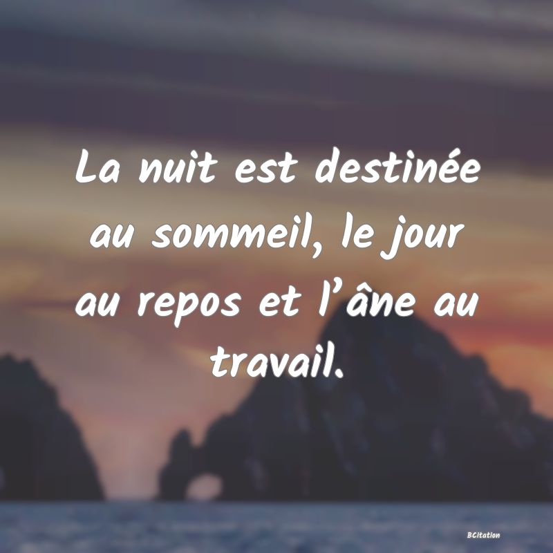 image de citation: La nuit est destinée au sommeil, le jour au repos et l’âne au travail.